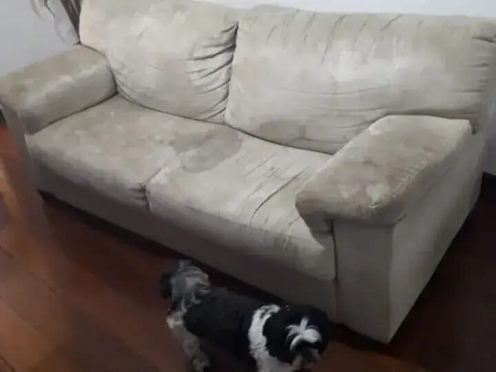 Sofá com pelos e marcas de pets antes da limpeza